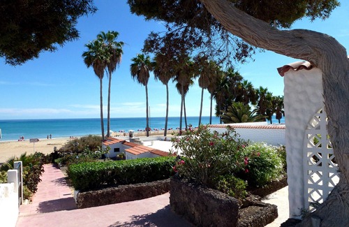 Bahia Calma House | Luxury studio for beach lovers - apartment by the sea under palm trees