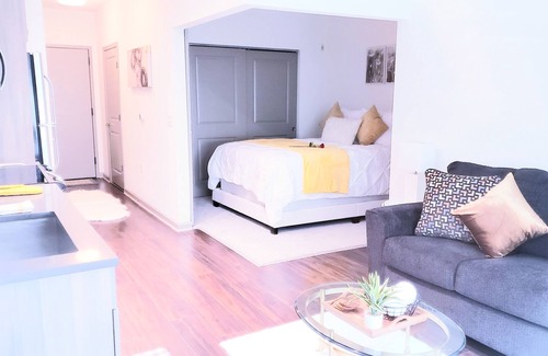 Del Ray Apartment | Luxury Studio ~ Min to New Metro/OldTown/DC/DCA/Free Garage Parking/Wifi/Pool