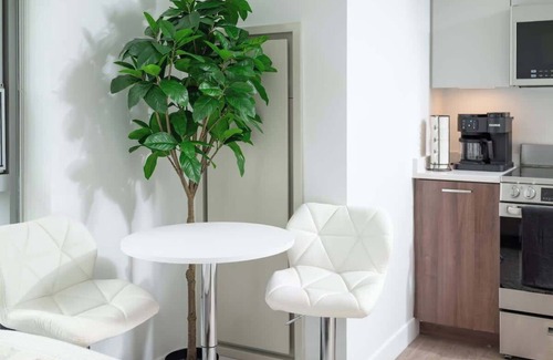 Central Square Apartment | Luxury Studio with King bed Gym near MIT Harvard in Central Square!