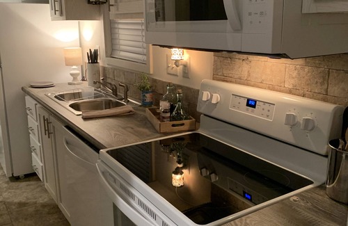 Homosassa Resort | Luxury tiny house by the river/pets and boats