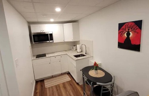 Fort Gary Apartment | Luxury two bedroom in a modern basement.