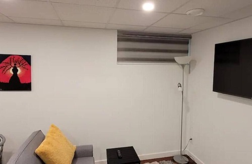 Fort Gary Apartment | Luxury two bedroom in a modern basement.