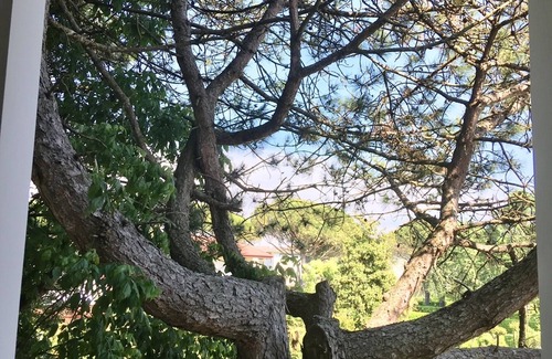 Duna Verde House | Luxury vacation apartment - pool, garden, beach