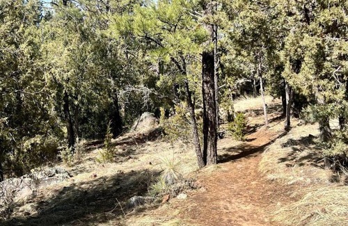 Show Low Villa | Luxury Villa over the Meadow