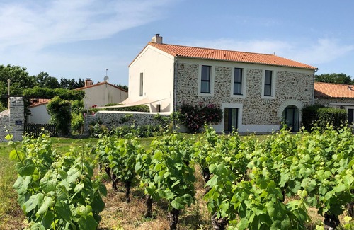 Chateau-Thebaud Cottage | Luxury Vineyard Cottage with Modern Amenities Near Nantes