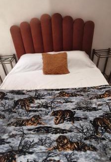 Obera House | Luz Bella1