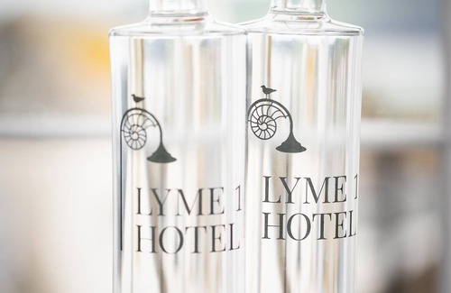 Lyme Regis Hotel | Lyme 1 Hotel