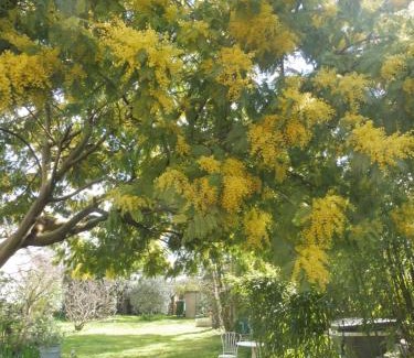 Lalande-Grand Selve Bed & Breakfast | Ma Toulousaine Chambre d'Hôtes