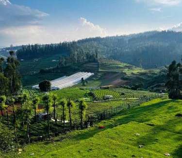 Ooty Bed & Breakfast | MADDOX STAYS OOTY