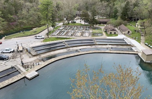 Cassville Cabin | Made for families-Cabin 7