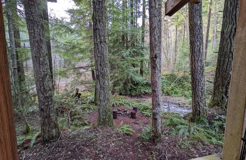Ashford Cabin | Magical Woodland Retreat only 8mi to MRNP!