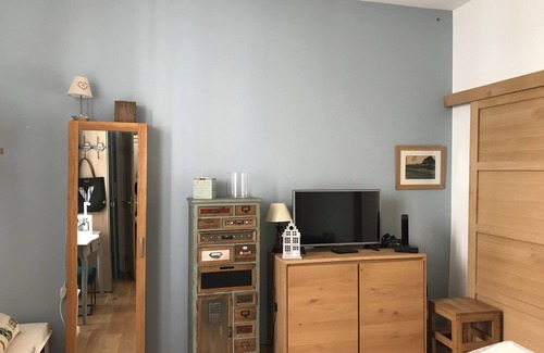 Saint-Serge Apartment | Magnificent apartment in the center of Angers with small garden