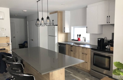 Bromont Condo | Magnifique Loft Situé à Moins de 5 Minutes de Bromont, Montagne Dexpériences