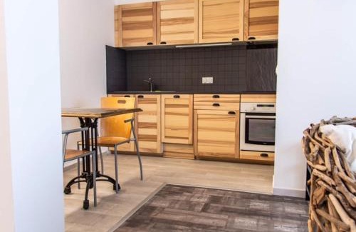 Balaruc-les-Bains Apartment | Magnifique T2 avec balcon et animaux admis - FR-1-503-143