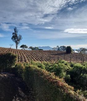 Sopo House | Magnifiques vues sur la Sabane