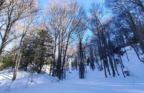 Bielle Apartment | Mailh- Massibé 1 chambre 5 pers draps serviettes inclus parking près du ski tout confort