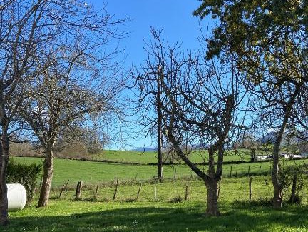 Ascarat Bed & Breakfast | MAISON AMORAINA