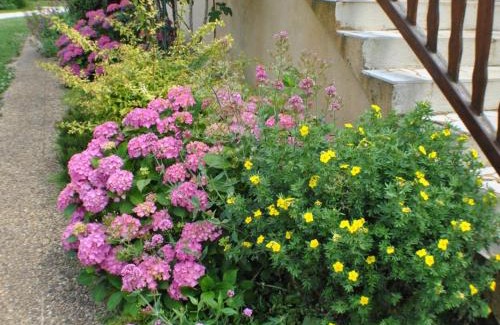 Carlux House | Maison au calme avec jardin, proche de Sarlat - Idéale pour familles et activités en plein air. - FR-1-616-295