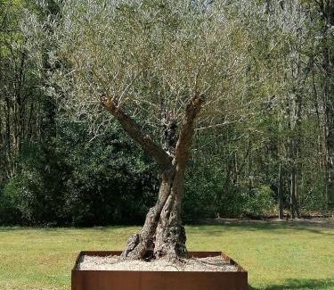 Ruaudin House | maison bois