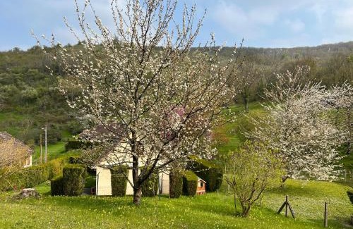 Vezillon House | Maison chaleureuse dans un écrin de verdure