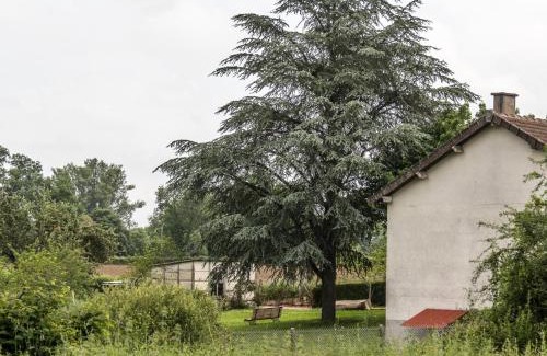 Mazirat House | Maison confortable avec jardin en Auvergne, animaux admis - FR-1-489-127