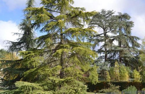 Le Sequestre House | Maison cosy tout confort dans un cadre de verdure