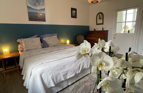 Paucourt Bed & Breakfast | Maison de Famille près de Montargis - Élégance et Confort en Forêt - FR-1-590-354