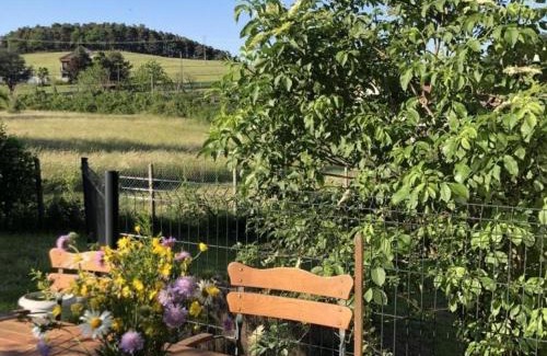 Saint-Just-Saint-Rambert House | Maison de charme avec grand jardin et équipements modernes - FR-1-496-195