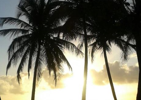 Trois-Rivieres Cabin | Maison de la plage