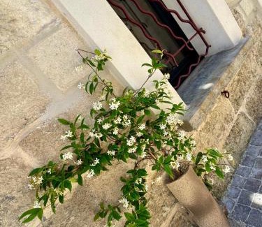 Le Grau-Du-Roi House | Maison de village rénovée !