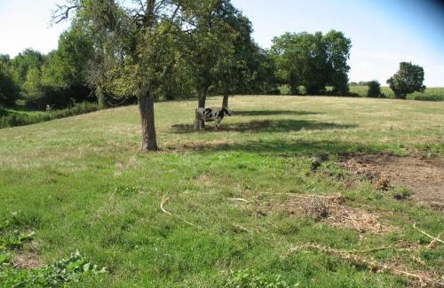 Bures House | Maison familiale avec jardin et WIFI aux portes du Perche - FR-1-497-124