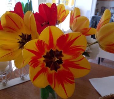 Magrie Bed & Breakfast | Maison isivier