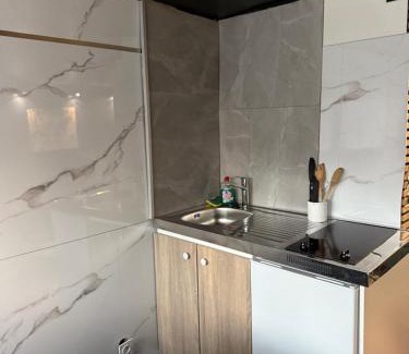 Maisdon-sur-Sevre Apartment | Maison la goulgatiere