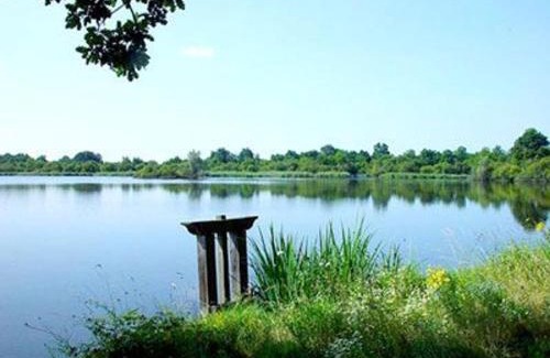 Saint-Aigny House | Maison rénovée au cœur du Parc Naturel de la Brenne avec jardin et terrasse - FR-1-591-44