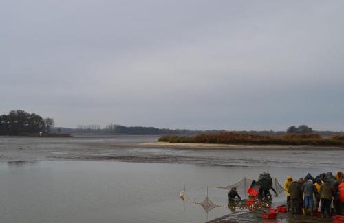 Saint-Aigny House | Maison rénovée au cœur du Parc Naturel de la Brenne avec jardin et terrasse - FR-1-591-44