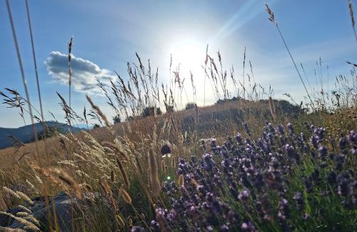 Rustrel House | Maison Rustrel entre ocres et lavandes 3 chambres