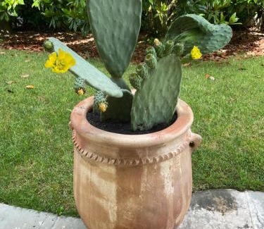 Villorba Bed & Breakfast | Maison Silvia