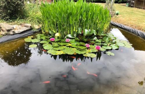 Saint-Florent House | Maison St Florent