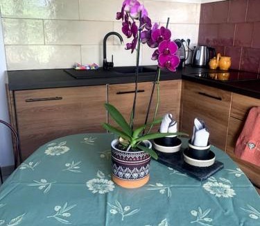 Sainte-Anne Apartment | Maisonnette de Jardin