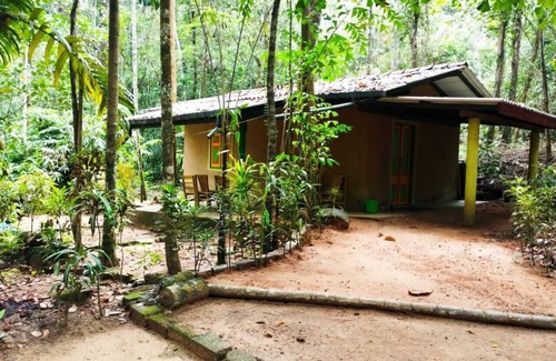 Palindanuwara Resort | Makeliya Jungle & Waterfall Tour