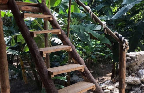 Isla Fuerte Cabin | Maloka Surf Cabaña Beachfront