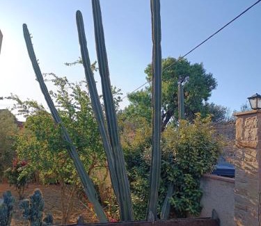 Kambos Apartment | Mandarini