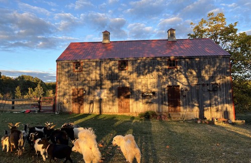 New Haven House | Mandolin Ridge Farm—Log Cabin Luxe! Pet Friendly. Livestock Guard Dogs Onsite.