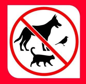 Ko Kood Bed & Breakfast | Mangrove bungalow & restaurant