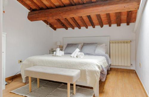 Pisa Apartment | Mansarda nel Cuore di Pisa
