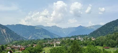 Fielis Apartment | Manuel Guesthouse Arta terme