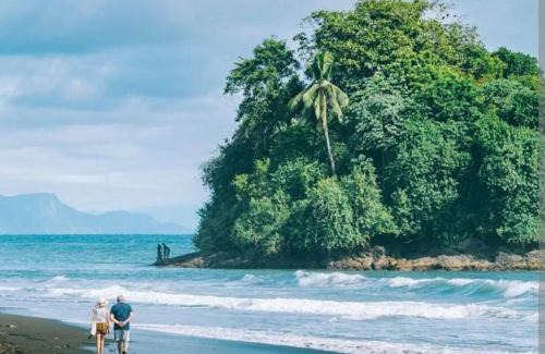 Choco Hotel | Mar y Selva