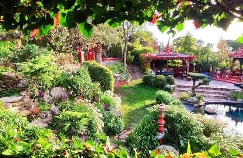 Santa Cruz del Retamar House | Maravilloso Jardin Oriental