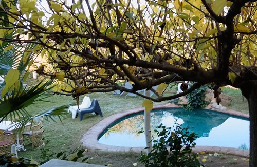 El Mas Mora Cottage | MARE MARAVELLA Casa Rural, Luxe i Natura COSTA BRAVA