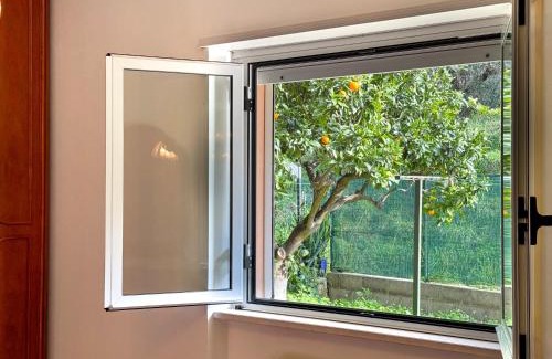 San Vito Chietino Apartment | Mare, Monti e Limoni